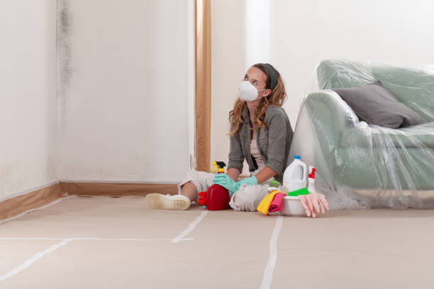Reliable Commercial Mold Remediation contractor in Vernon Hills, IL by 24 Hour Mold Removal